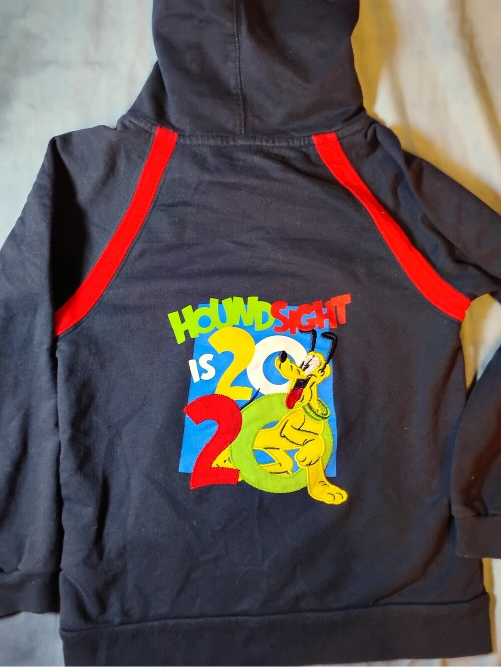 Disney parks kids Pluto "Houndsight is 20/20" Graphic Hoodie